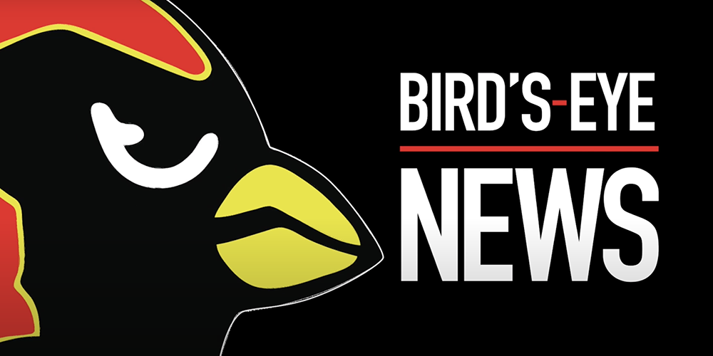 Bird's Eye News Logo